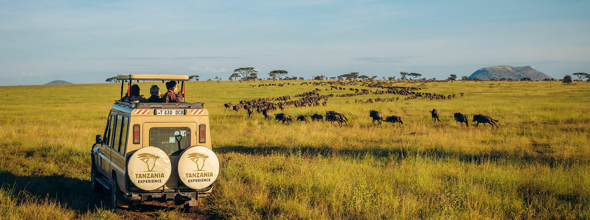 Serengeti