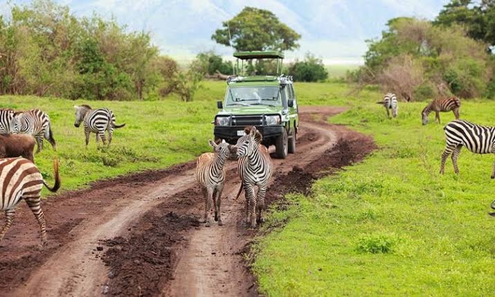 Arusha National Park