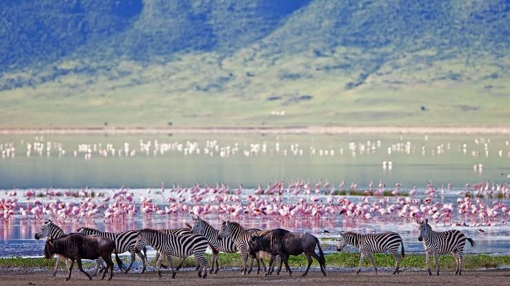 Ngorongoro Conservation Area